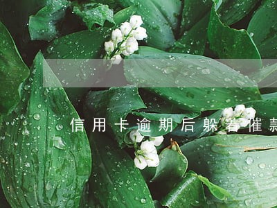 信用卡逾期后躲着催款 信用卡逾期后躲着催款