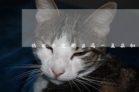 信用卡逾期后还一直在扣费