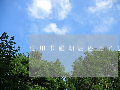 信用卡逾期后还上了怎么办