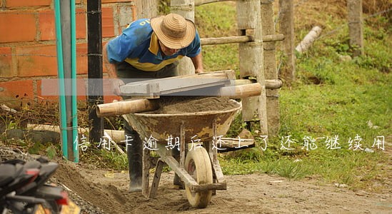 信用卡逾期后还上了还能继续用吗