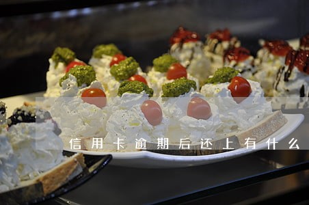 信用卡逾期后还上有什么影响 信用卡逾期后还上有什么影响