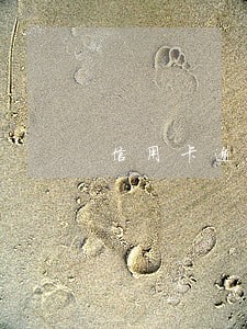 信用卡逾期后还不上征信 信用卡逾期后还不上征信