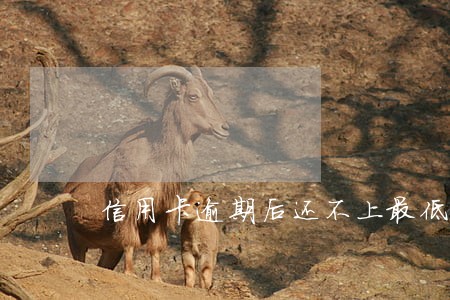 信用卡逾期后还不上最低还款 信用卡逾期后还不上最低还款