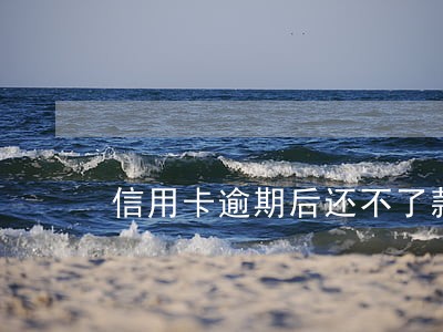 信用卡逾期后还不了款 信用卡逾期后还不了款