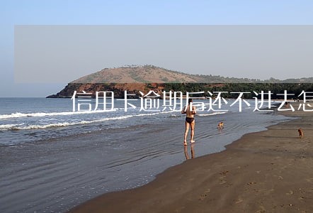 信用卡逾期后还不进去怎么办