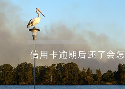 信用卡逾期后还了会怎么样 信用卡逾期后还了会怎么样
