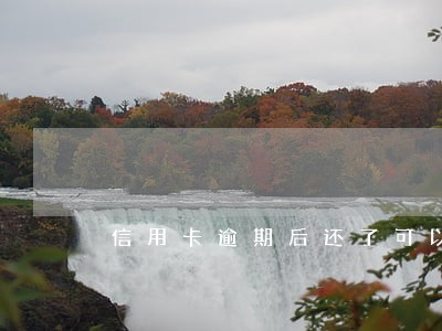 信用卡逾期后还了可以注销吗 信用卡逾期后还了可以注销吗