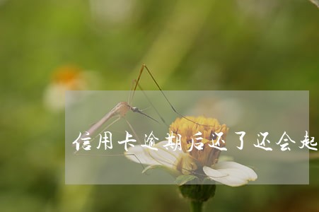 信用卡逾期后还了还会起诉吗 信用卡逾期后还了还会起诉吗