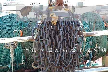 信用卡逾期后还了还有额度没有