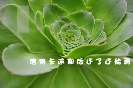 信用卡逾期后还了还能再刷吗 信用卡逾期后还了还能再刷吗