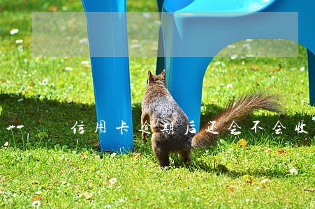 信用卡逾期后还会不会收年费 信用卡逾期后还会不会收年费
