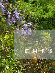 信用卡逾期后还会提额吗 信用卡逾期后还会提额吗