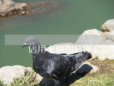 信用卡逾期后还会有账单吗 信用卡逾期后还会有账单吗
