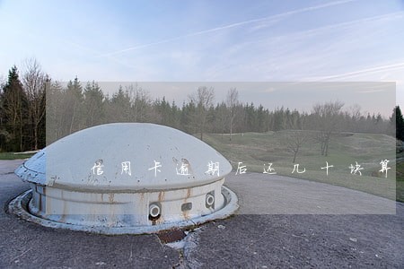 信用卡逾期后还几十块算还吗 信用卡逾期后还几十块算还吗