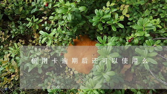 信用卡逾期后还可以使用么 信用卡逾期后还可以使用么