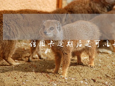 信用卡逾期后还可以再办信用卡吗