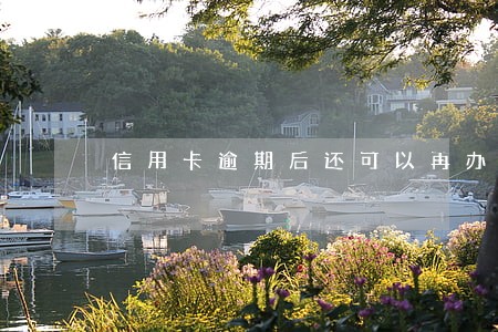 信用卡逾期后还可以再办吗 信用卡逾期后还可以再办吗