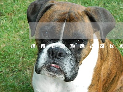 信用卡逾期后还可以办理分期么