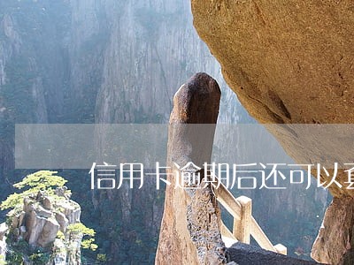 信用卡逾期后还可以套出来吗