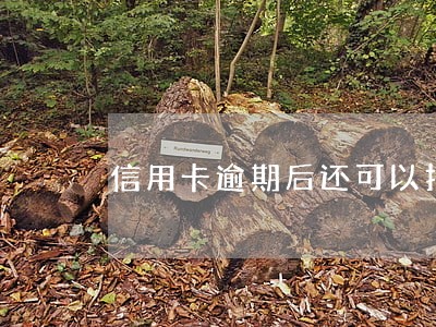 信用卡逾期后还可以打印流水嘛