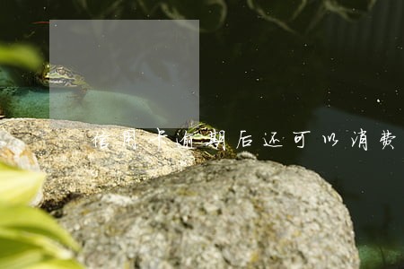 信用卡逾期后还可以消费吗 信用卡逾期后还可以消费吗