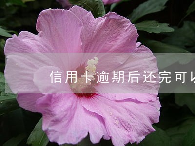 信用卡逾期后还完可以再用吗 信用卡逾期后还完可以再用吗