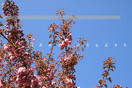 信用卡逾期后还完还有黑名单吗 信用卡逾期后还完还有黑名单吗
