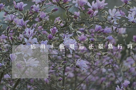 信用卡逾期后还最低行吗 信用卡逾期后还最低行吗