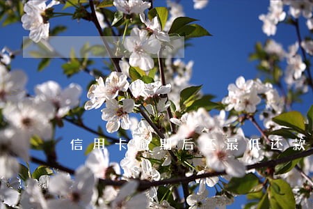 信用卡逾期后还最低还款和全额 信用卡逾期后还最低还款和全额