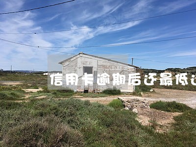 信用卡逾期后还最低还款额
