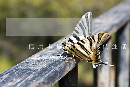 信用卡逾期后还最低还能用吗 信用卡逾期后还最低还能用吗