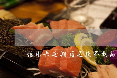 信用卡逾期后还款不到账 信用卡逾期后还款不到账