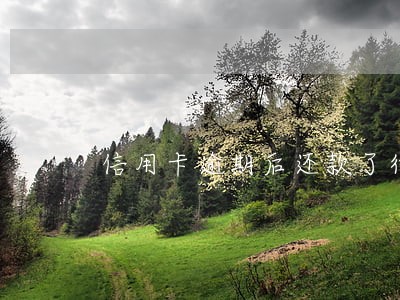 信用卡逾期后还款了待入账 信用卡逾期后还款了待入账