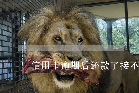 信用卡逾期后还款了接不了了 信用卡逾期后还款了接不了了