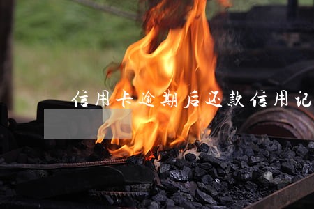信用卡逾期后还款信用记录 信用卡逾期后还款信用记录