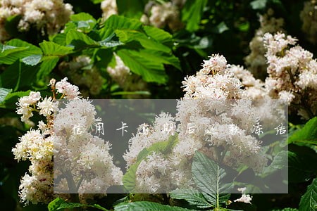 信用卡逾期后还款冻结 信用卡逾期后还款冻结