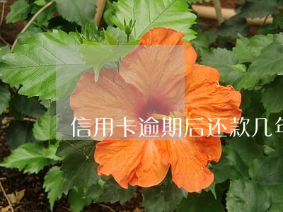 信用卡逾期后还款几年消除记录 信用卡逾期后还款几年消除记录
