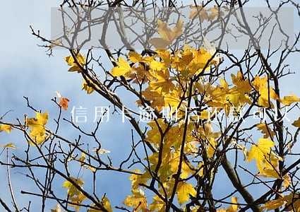 信用卡逾期后还款可以 信用卡逾期后还款可以