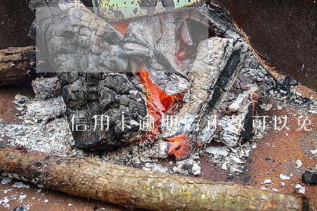 信用卡逾期后还款可以免滞纳金吗
