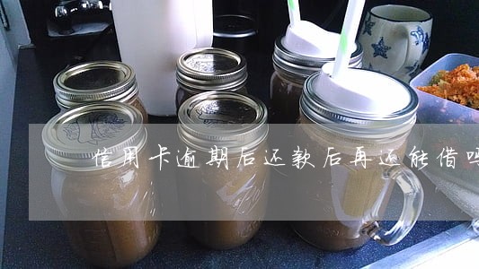 信用卡逾期后还款后再还能借吗 信用卡逾期后还款后再还能借吗
