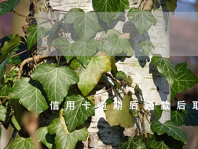 信用卡逾期后还款后取不出来 信用卡逾期后还款后取不出来