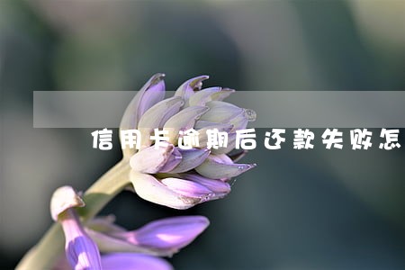 信用卡逾期后还款失败怎么回事