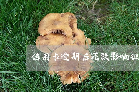 信用卡逾期后还款影响征信吗 信用卡逾期后还款影响征信吗