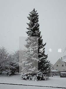 信用卡逾期后还款征信吗 信用卡逾期后还款征信吗
