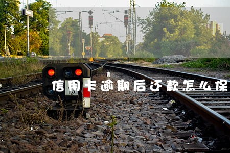 信用卡逾期后还款怎么保养卡片 信用卡逾期后还款怎么保养卡片