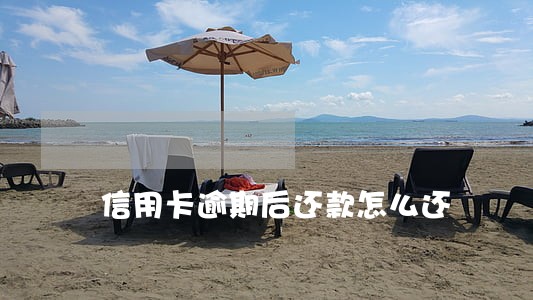 信用卡逾期后还款怎么还