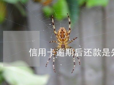 信用卡逾期后还款是先还本金 信用卡逾期后还款是先还本金