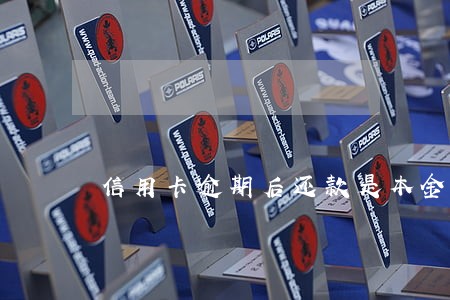 信用卡逾期后还款是本金还是利息 信用卡逾期后还款是本金还是利息