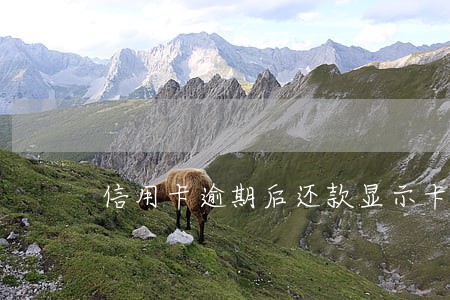 信用卡逾期后还款显示卡片无效 信用卡逾期后还款显示卡片无效