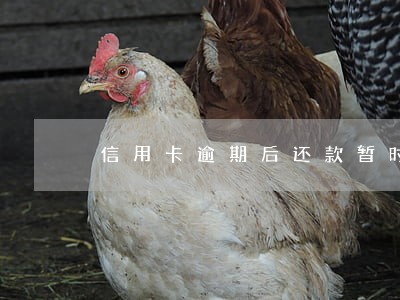 信用卡逾期后还款暂时不支持